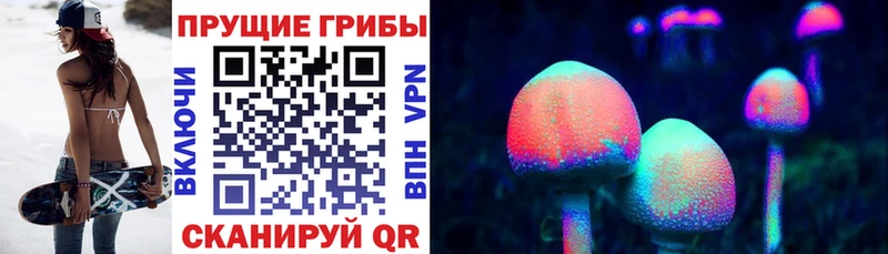 Галлюциногенные грибы Psilocybine cubensis Балахна